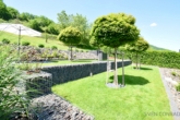 Garten - Gartenparadies! Modernes Einfamilienhaus in Kirn-Sulzbach