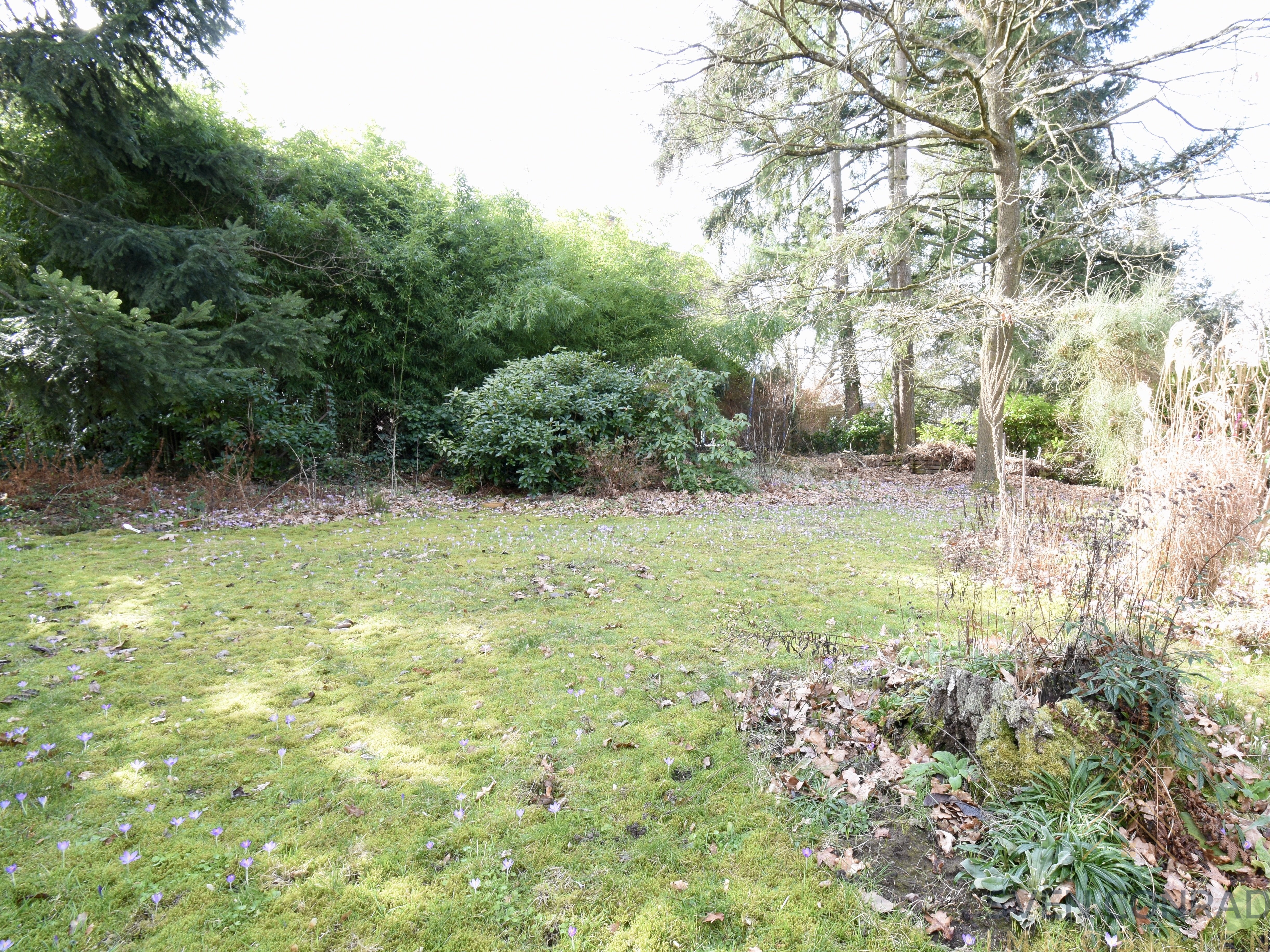 Garten #04