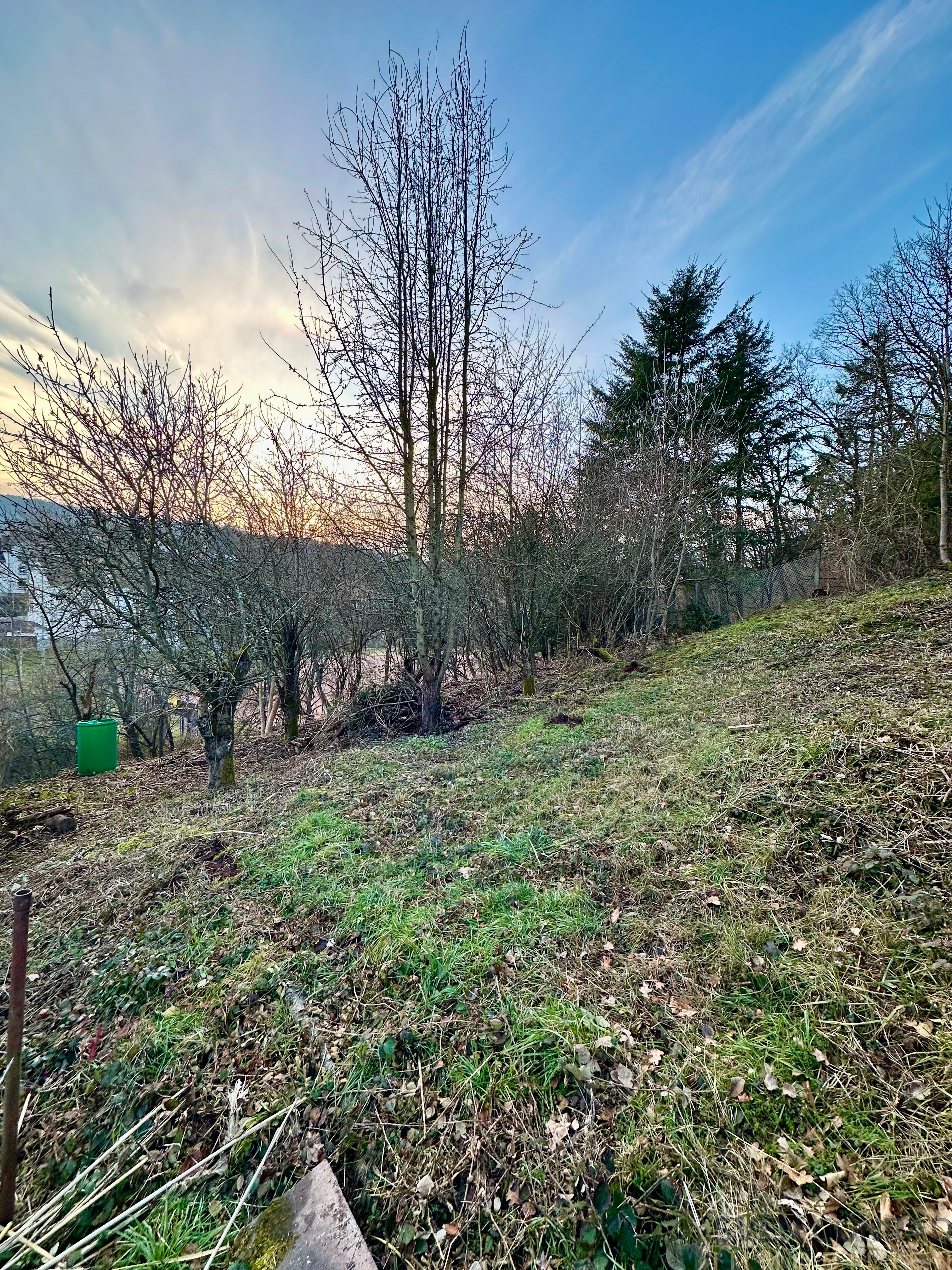 Garten seitlich #02